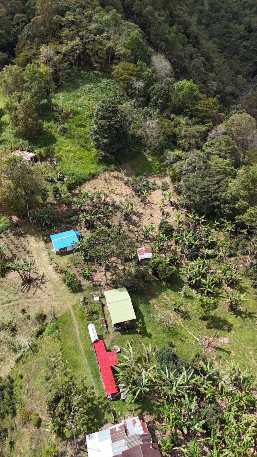 Lote / Terreno en San Francisco